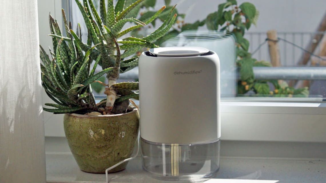 Elektrische Luftentfeuchter: Die besten Geräte für zuhause
