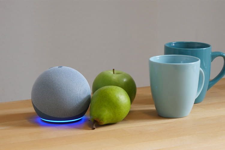 Echo Flex Alternative: Steckdosenhalterung für den Echo Dot (4. und 5.  Generation) - HouseControllers